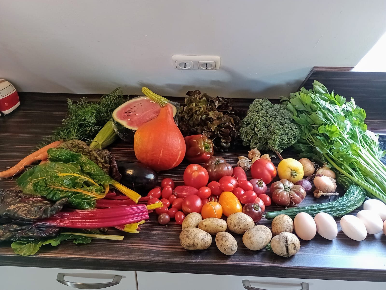 Ernteergebnis einer Woche: Wassermelone, Kürbis, Tomaten, Mangold, Möhren, Brokkoli und mehr