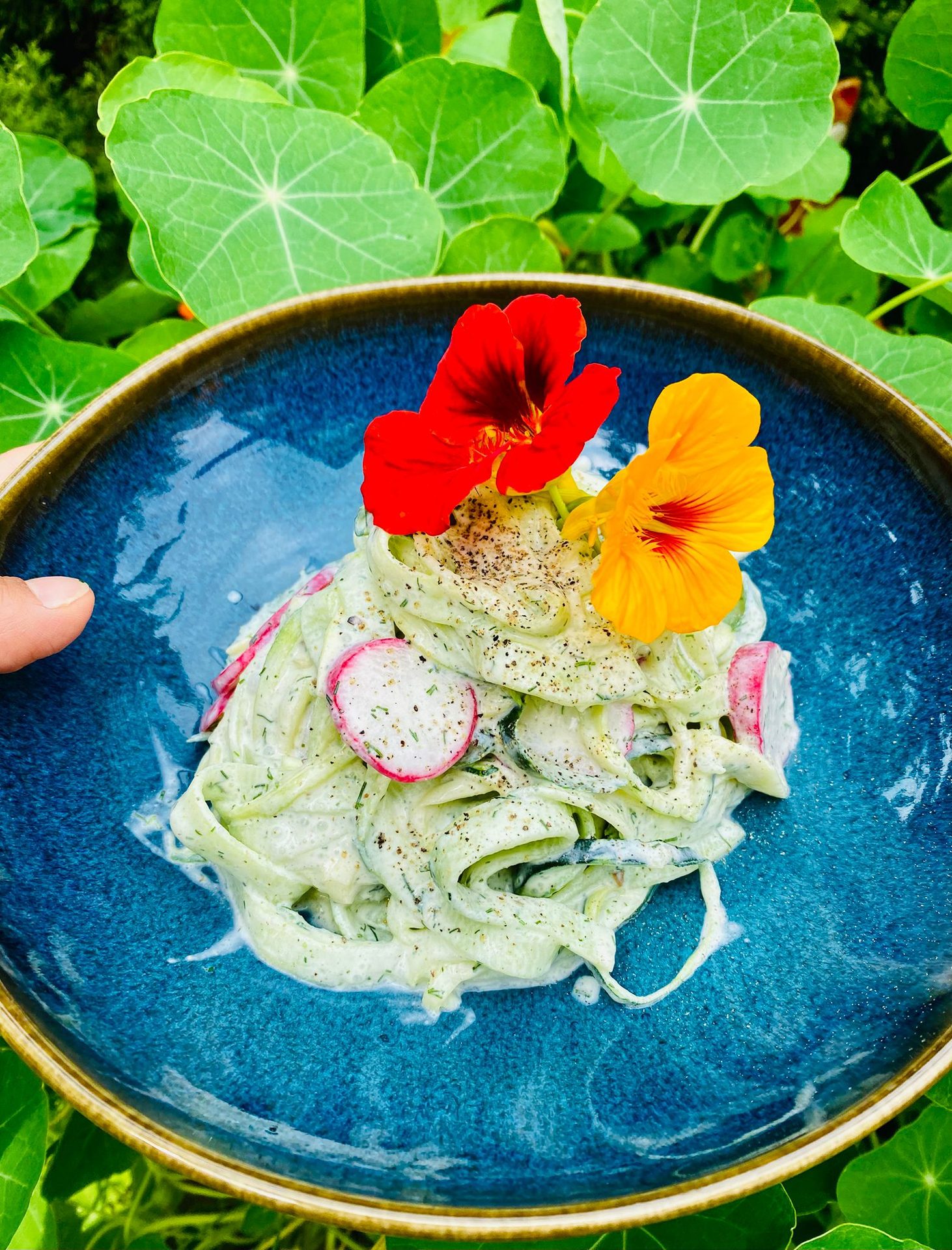 Gurkensalat mit Kapuzinerkresse-Blüten