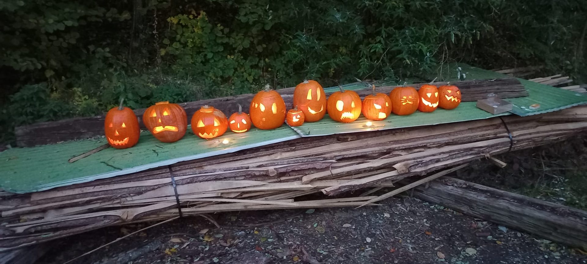 Geschnitzte Halloween-Kürbisse – Gemeinschaftsprojekt der SoLawi-Mitglieder