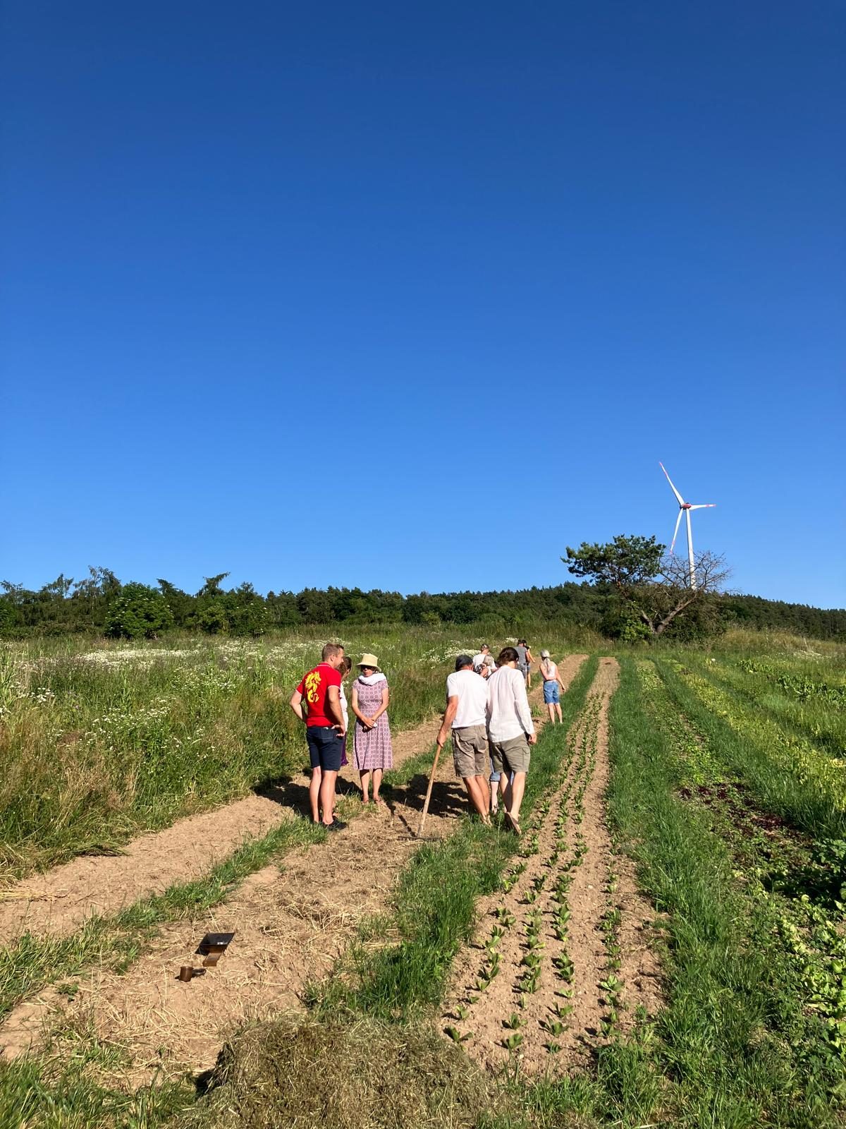 Mitglieder beim gemeinsamen Ernten auf dem Feld