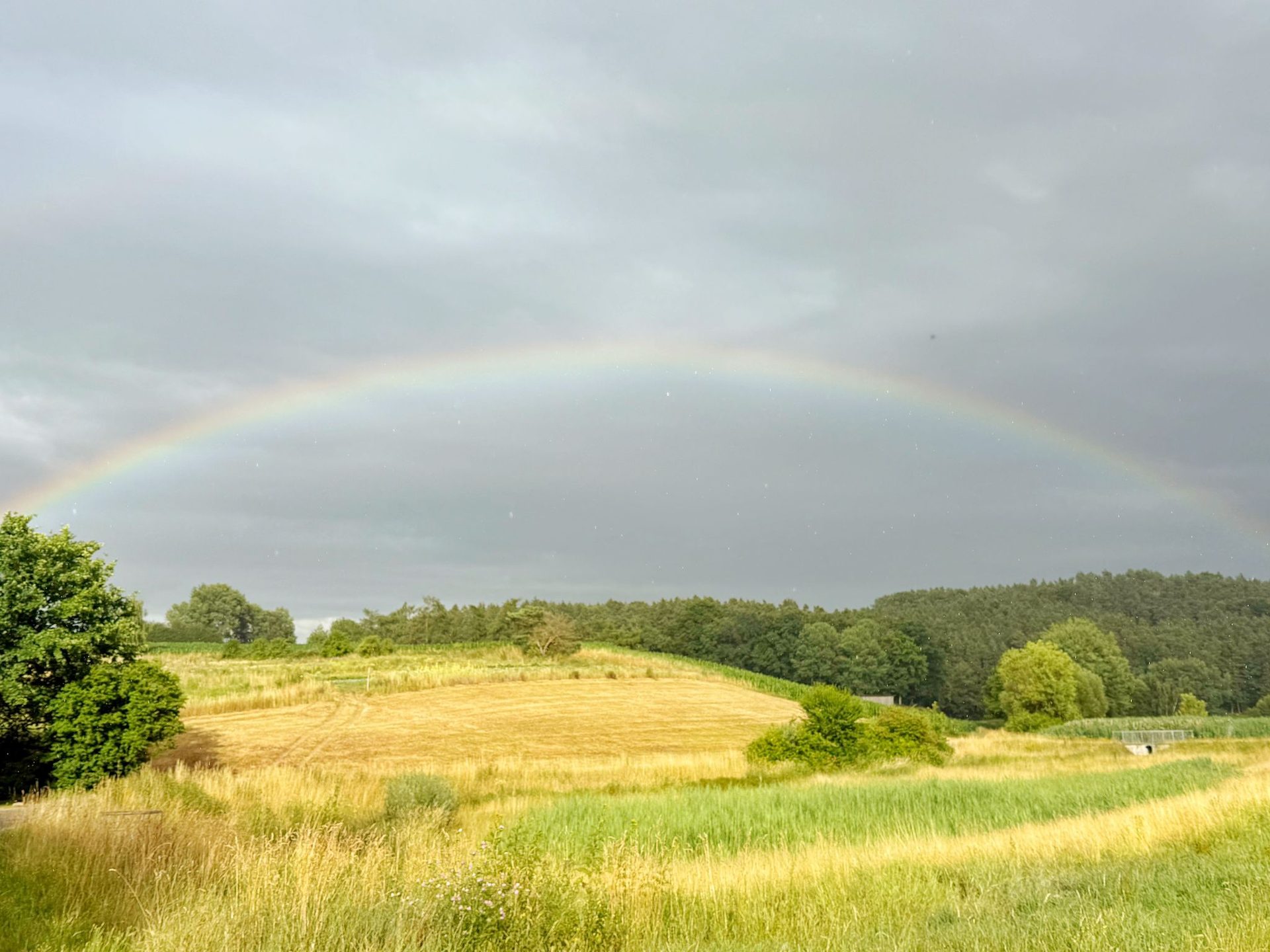 Regenbogen über den Feldern des Bimeshofs