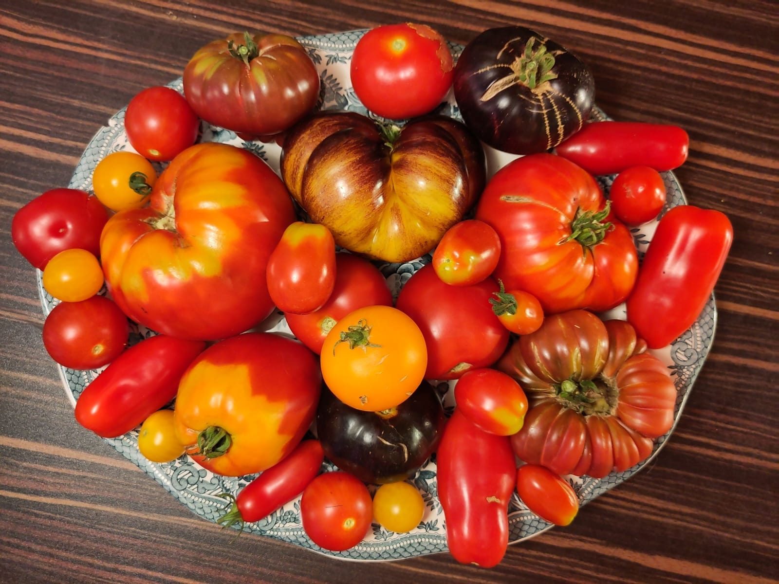 Alte Tomatensorten in allen Farben und Formen